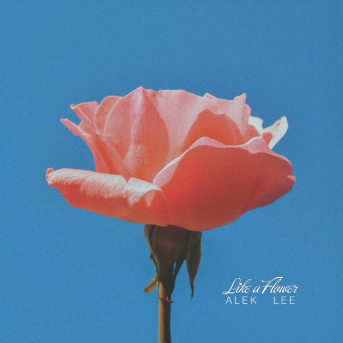 Cover Alek LeeLike A Flower