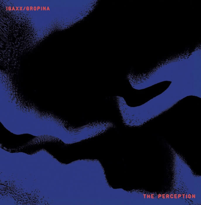 Cover Igaxx / Gropina | The Perception