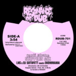 LNS & DJ Sotofett meets Ekowmania | Fanti Shake (Steppers Mix) / Step Eight