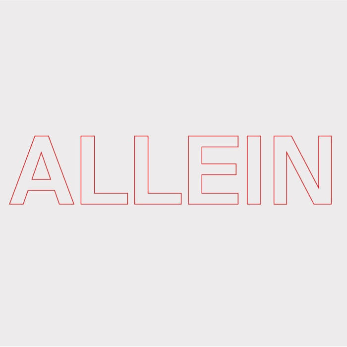 Cover Quarks | Allein