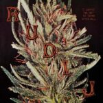 Rudi J  | I Guess I’m