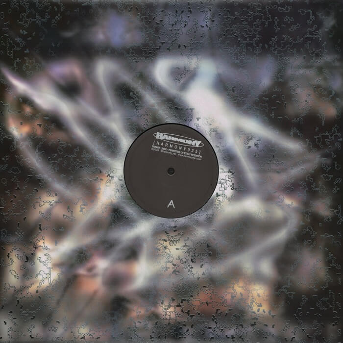 Cover Trevor LindePeripeties Of Stray Intention