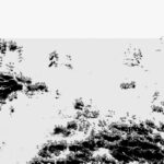 Bot1500 | The Black Sea