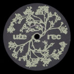 Matthias | UTE015