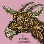 Sleaford Mods ft. Aldous Harding | Elitest G.O.A.T. (The Prodigy Acid Thunder Mix)