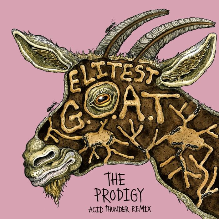 Cover Sleaford Mods ft. Aldous HardingElitest G.O.A.T. (The Prodigy Acid Thunder Mix)