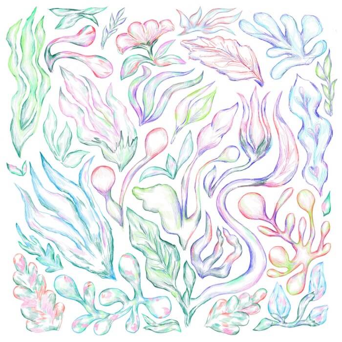 Cover Various | Plants Can Dance: Curated by Auntie Flo