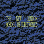 New London School Of Electronics | Voices Of The Rainforest