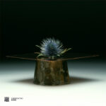 Various | Curation Two: D.Dan
