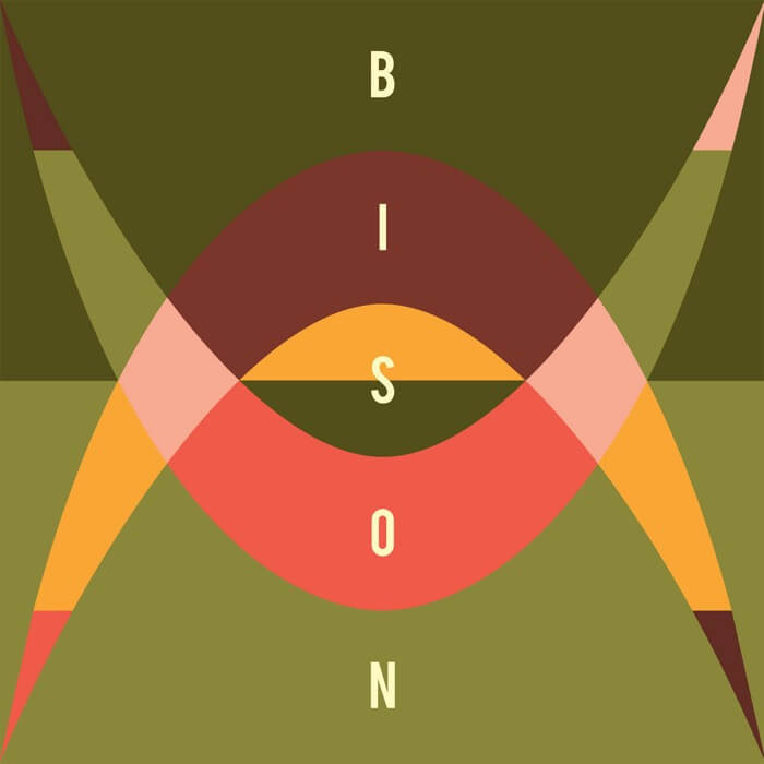 Cover Bison | Travellers