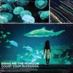 Bring Me The Horizon | Count Your Blessings