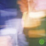 Curio Curio | Curio Curio