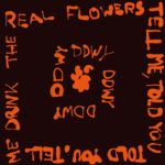 ddwy | Tell Me, Told You