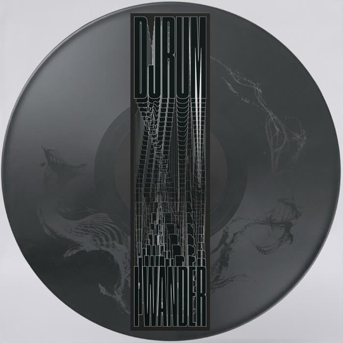 Cover DjrumI Wander (Picture Disc)