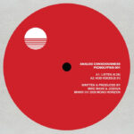 Down D.C. / Analog Consciousness | Picnolypsis 001