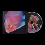 Fontaines D.C. | Dopamine Chamber