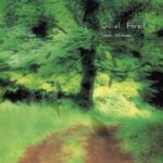 Hiroshi Yoshimura | Quiet Forest