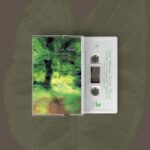 Hiroshi Yoshimura | Quiet Forest