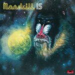 Mandrill | Mandrill Is