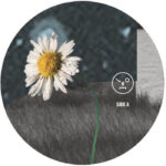 Sasha | Hollow Sun