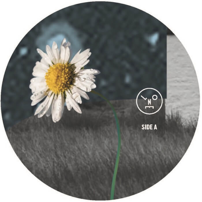 Cover Sasha | Hollow Sun