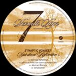 Synaptic Voyager | Spiritual Reflection EP