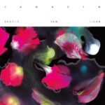 Tamaryn | Tender New Signs