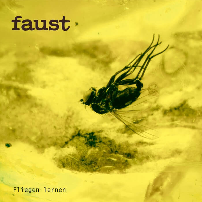 Cover FaustFliegen lernen (Curated by Gunther Wüsthoff)