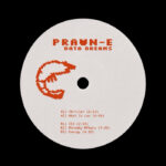 Prawn-E | Data Dreams