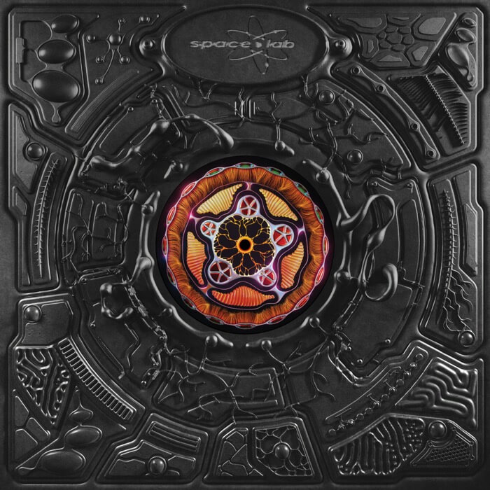 Cover RDSDusk / Illusions